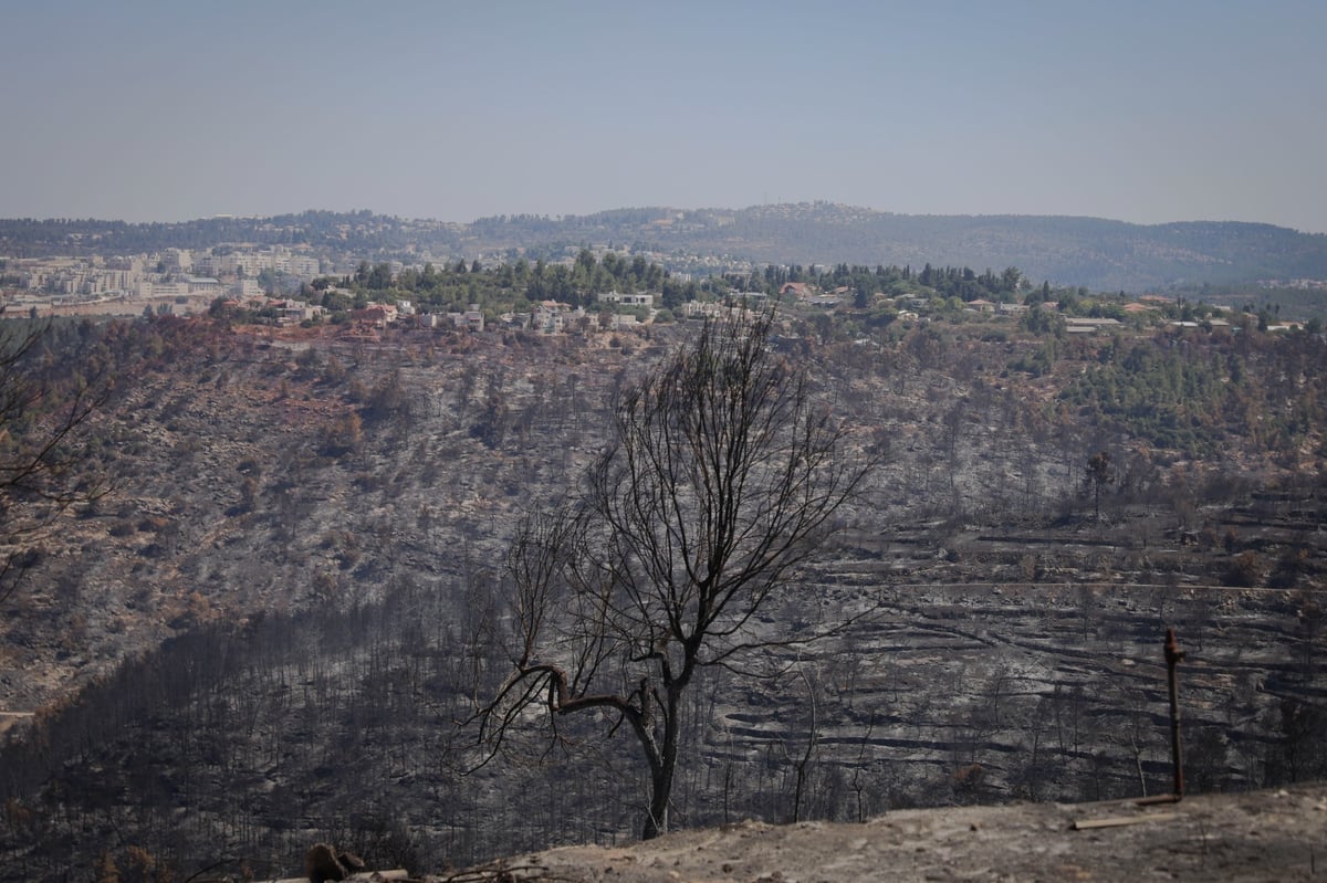 שריפת הענק בהרי ירושלים, ביום שאחרי; צפו