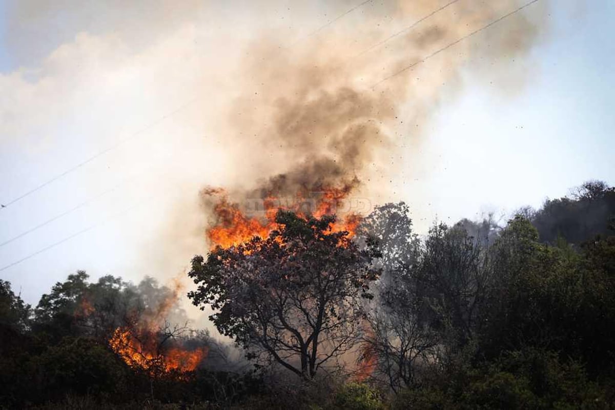 השריפה בהרי ירושלים התחדשה; כוחות הכיבוי במקום