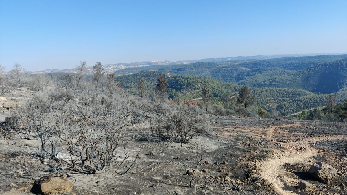 השריפה בהרי ירושלים התחדשה; כוחות הכיבוי במקום