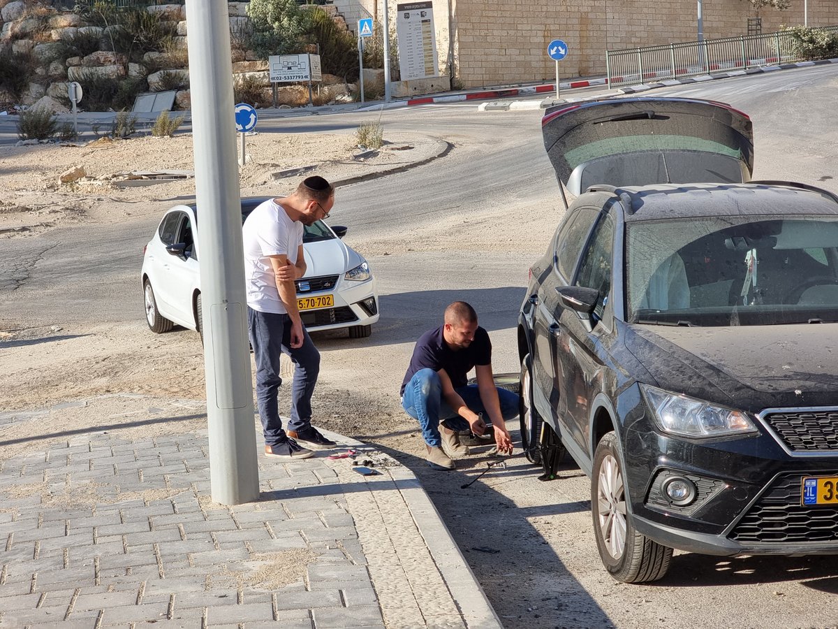 זופניק בכיכר • כל התמונות והנייעס של השבוע