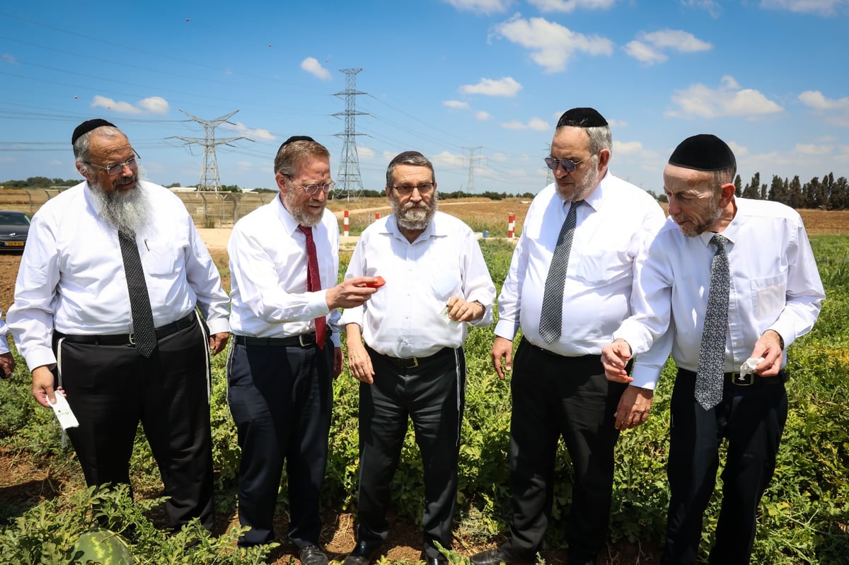 הח"כים של דגל חיזקו את החקלאים לקראת השמיטה