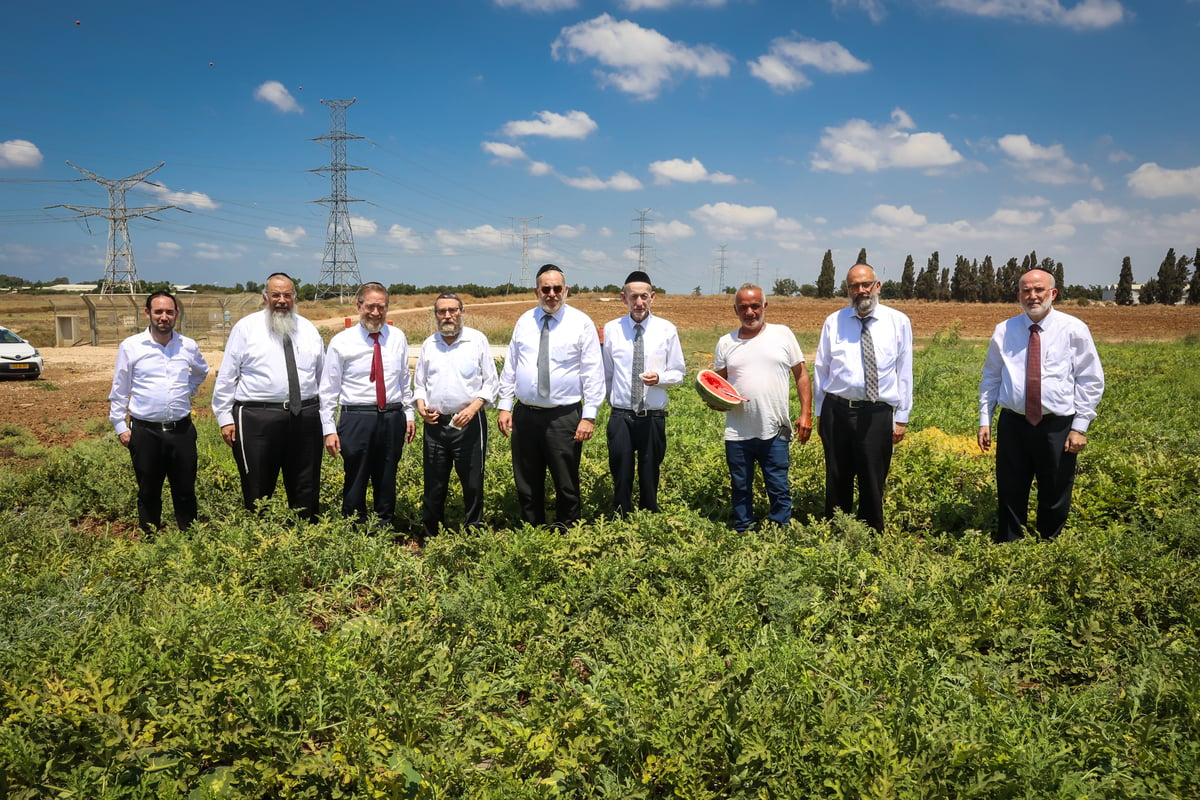 הח"כים של דגל חיזקו את החקלאים לקראת השמיטה