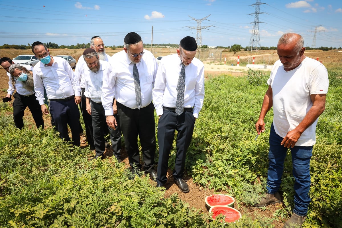 הח"כים של דגל חיזקו את החקלאים לקראת השמיטה