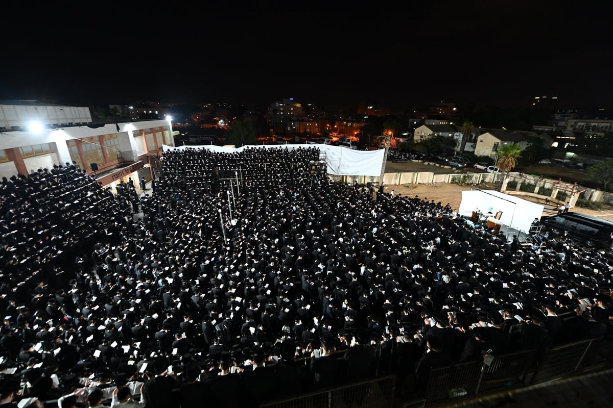 לפנות בוקר: אלפי חסידי צאנז בסליחות ראשונות