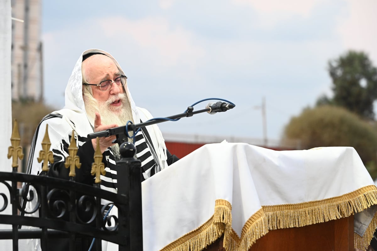 לפנות בוקר: אלפי חסידי צאנז בסליחות ראשונות