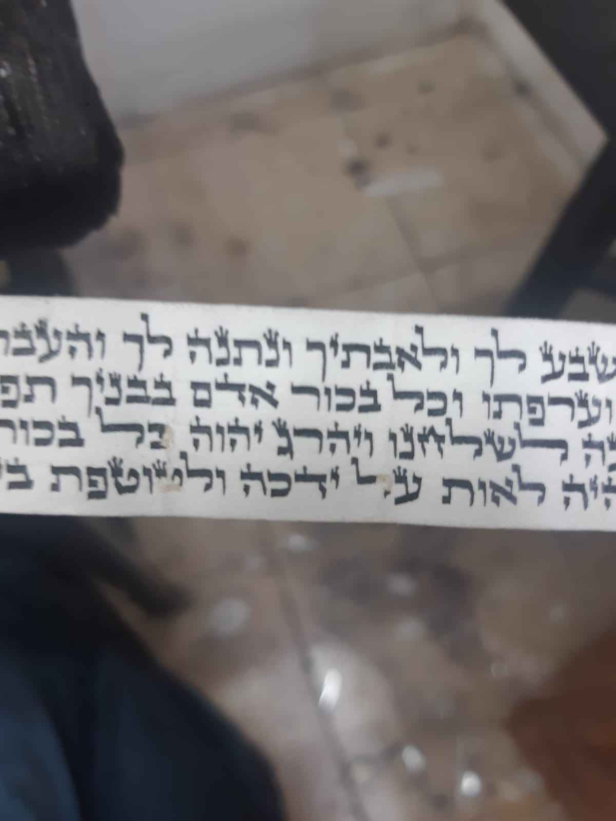 תוצאות בדיקת התפילין