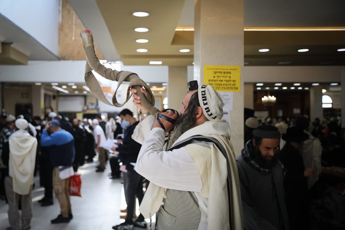 לאחר 'שחרית' בציון רבי נחמן: כלייזמרים וריקודים • צפו