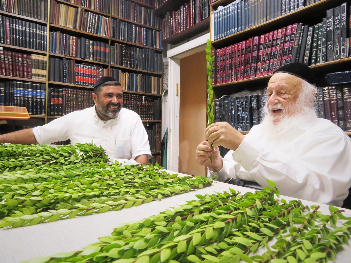 ראש הישיבה בחר הדסים לחג הסוכות