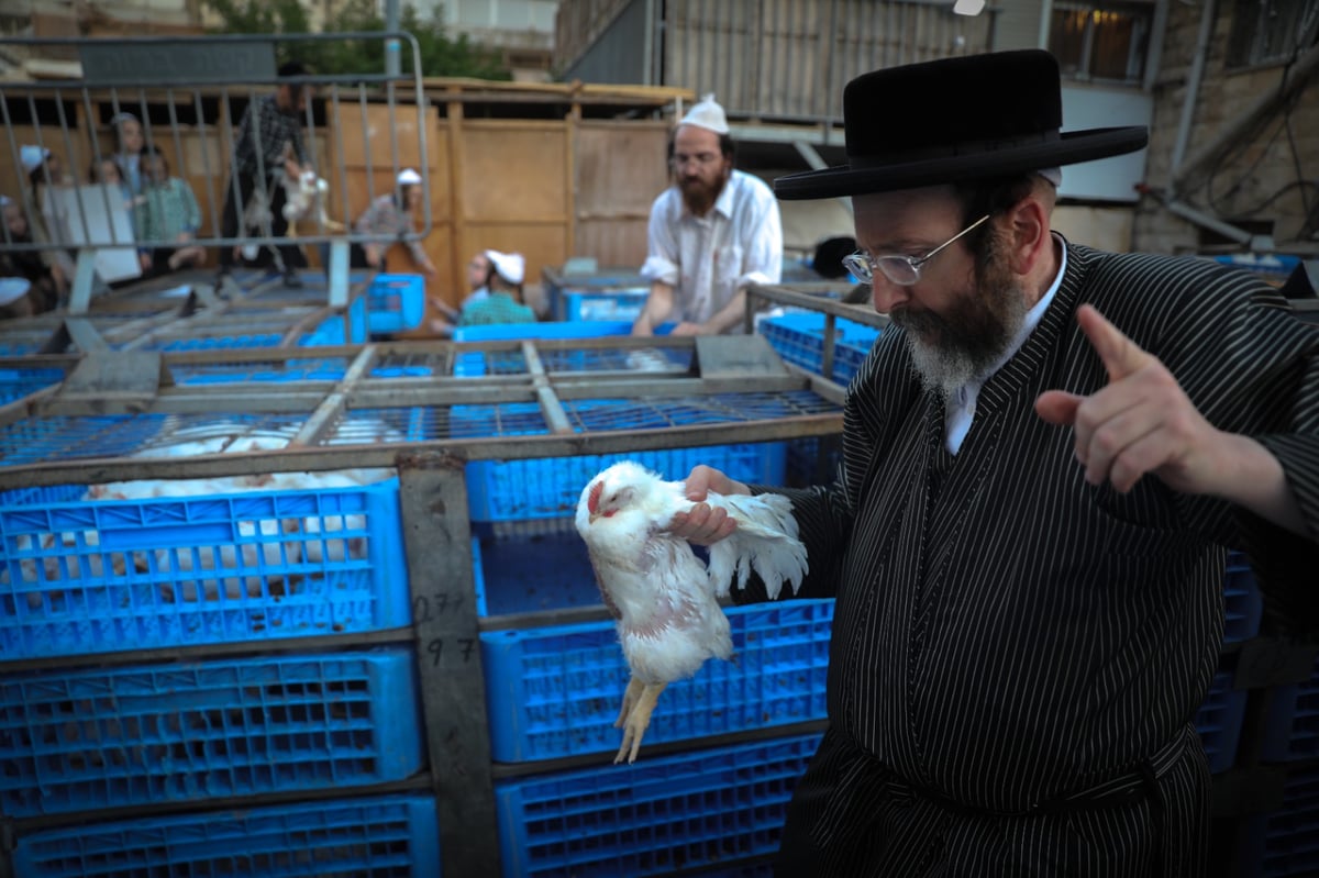 תיעוד: מנהג הכפרות בבתי אונגרין בירושלים