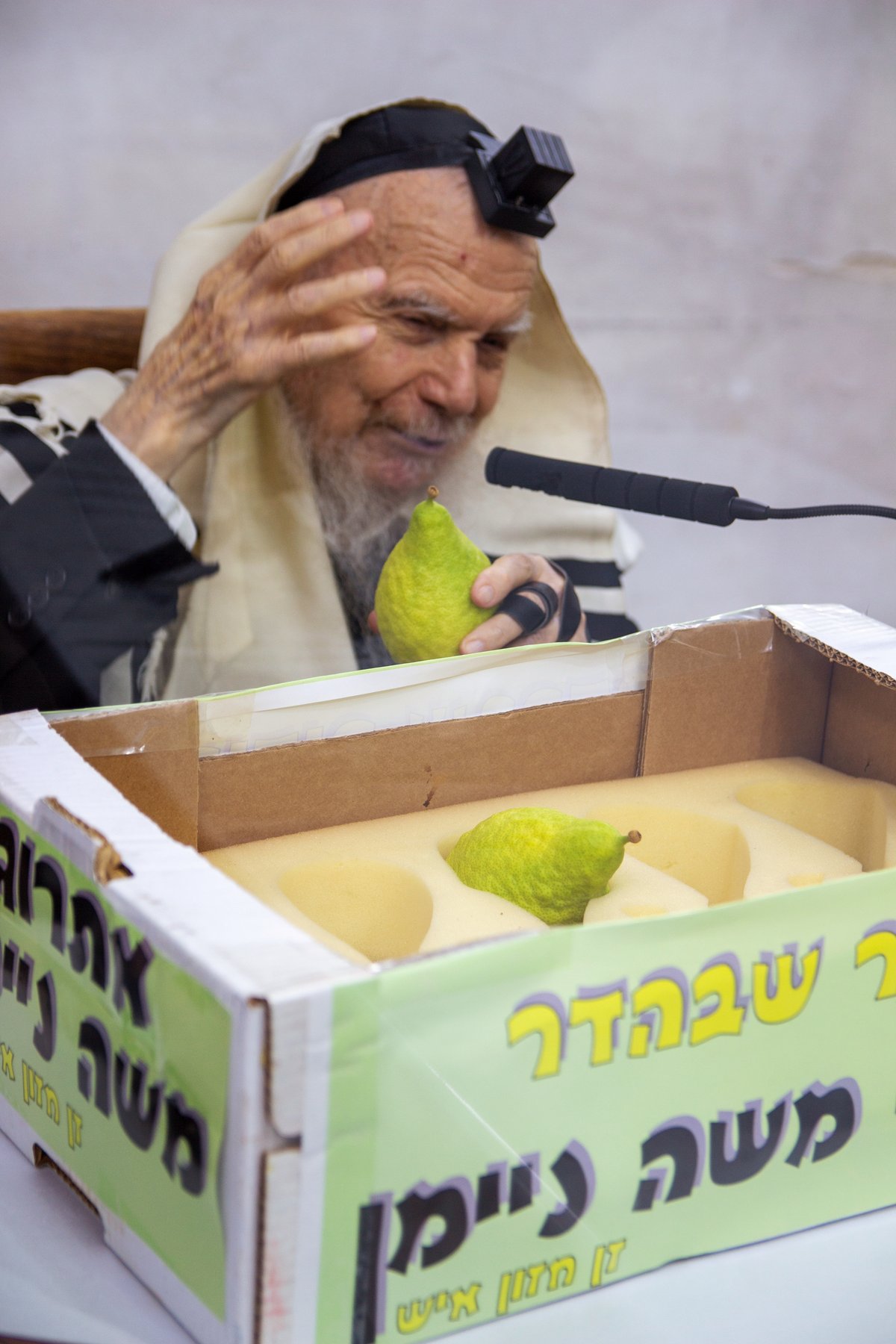 אחרי 'שחרית': גדולי ישראל בחרו אתרוג • צפו