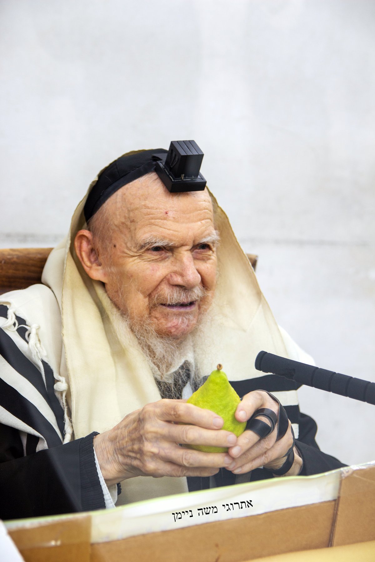 אחרי 'שחרית': גדולי ישראל בחרו אתרוג • צפו