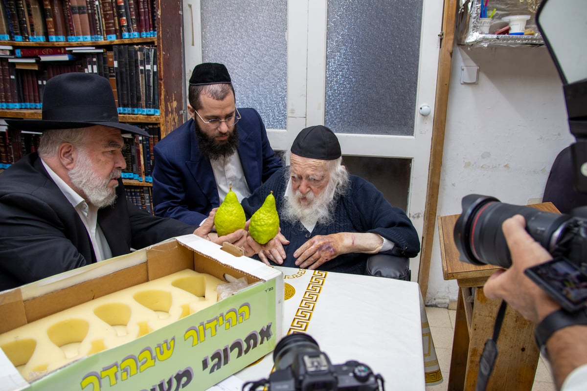 אחרי 'שחרית': גדולי ישראל בחרו אתרוג • צפו