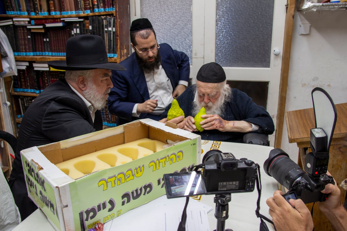 אחרי 'שחרית': גדולי ישראל בחרו אתרוג • צפו