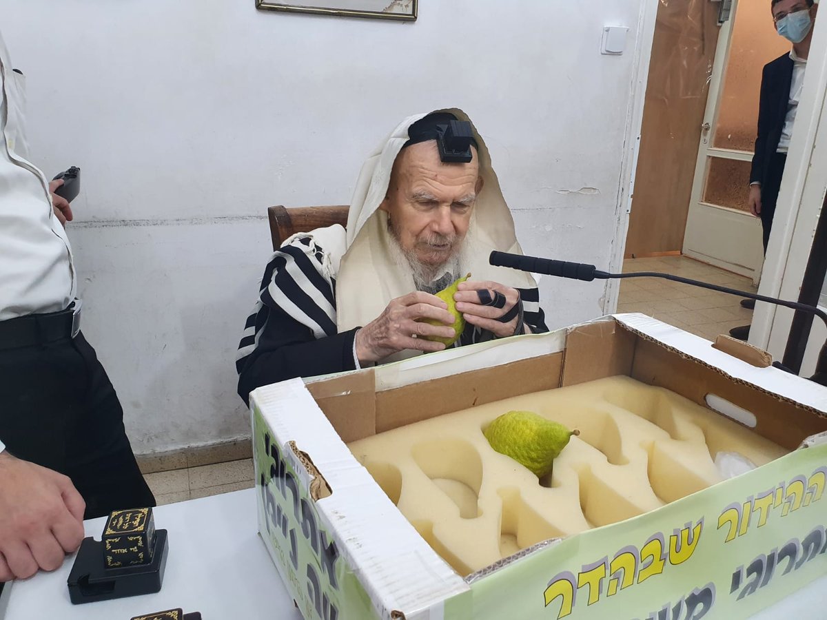 אחרי 'שחרית': גדולי ישראל בחרו אתרוג • צפו