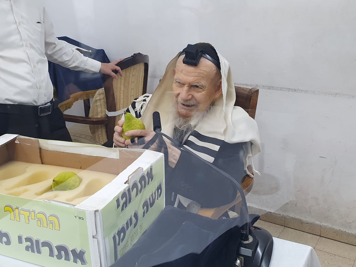 אחרי 'שחרית': גדולי ישראל בחרו אתרוג • צפו