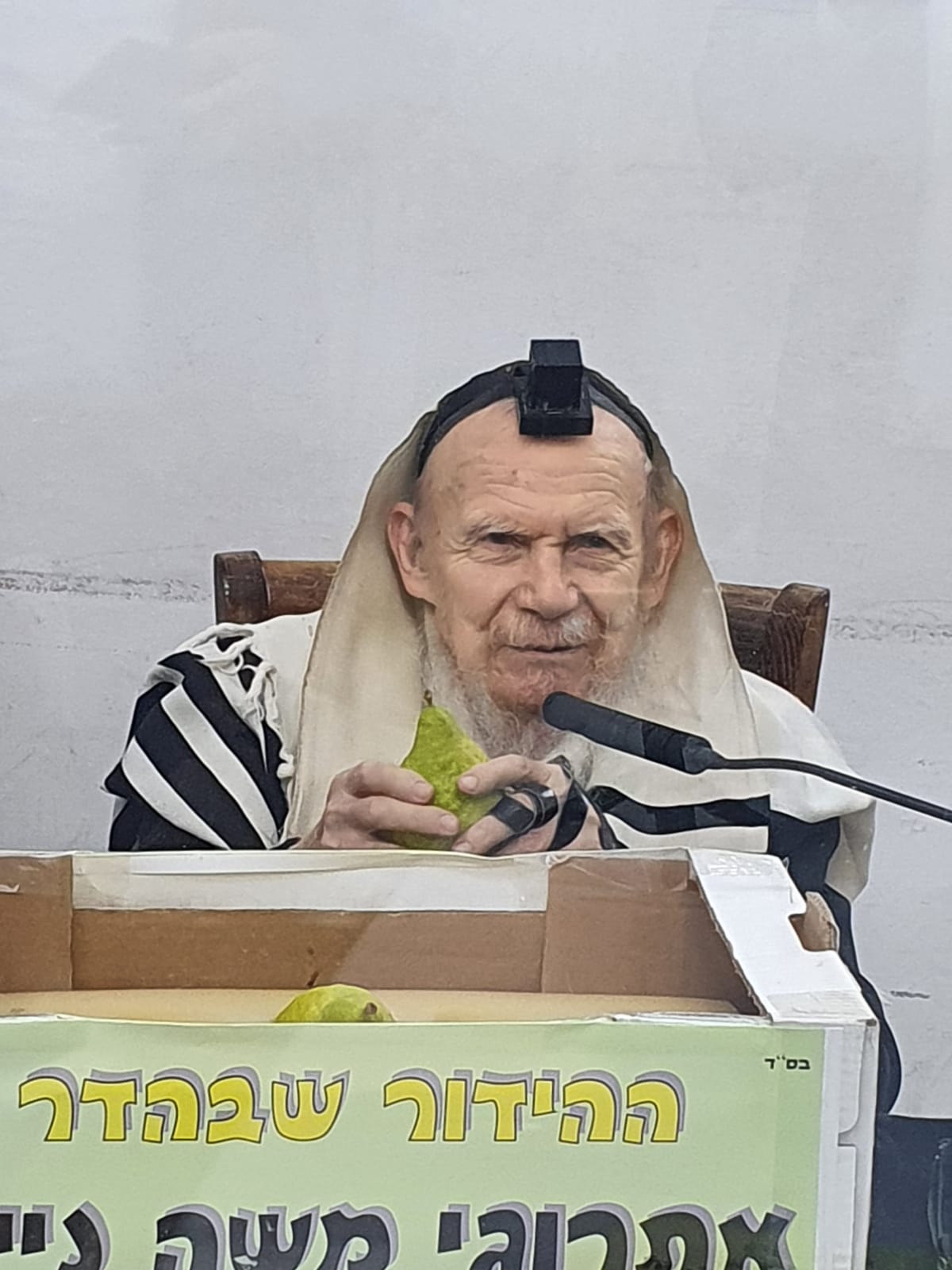 אחרי 'שחרית': גדולי ישראל בחרו אתרוג • צפו