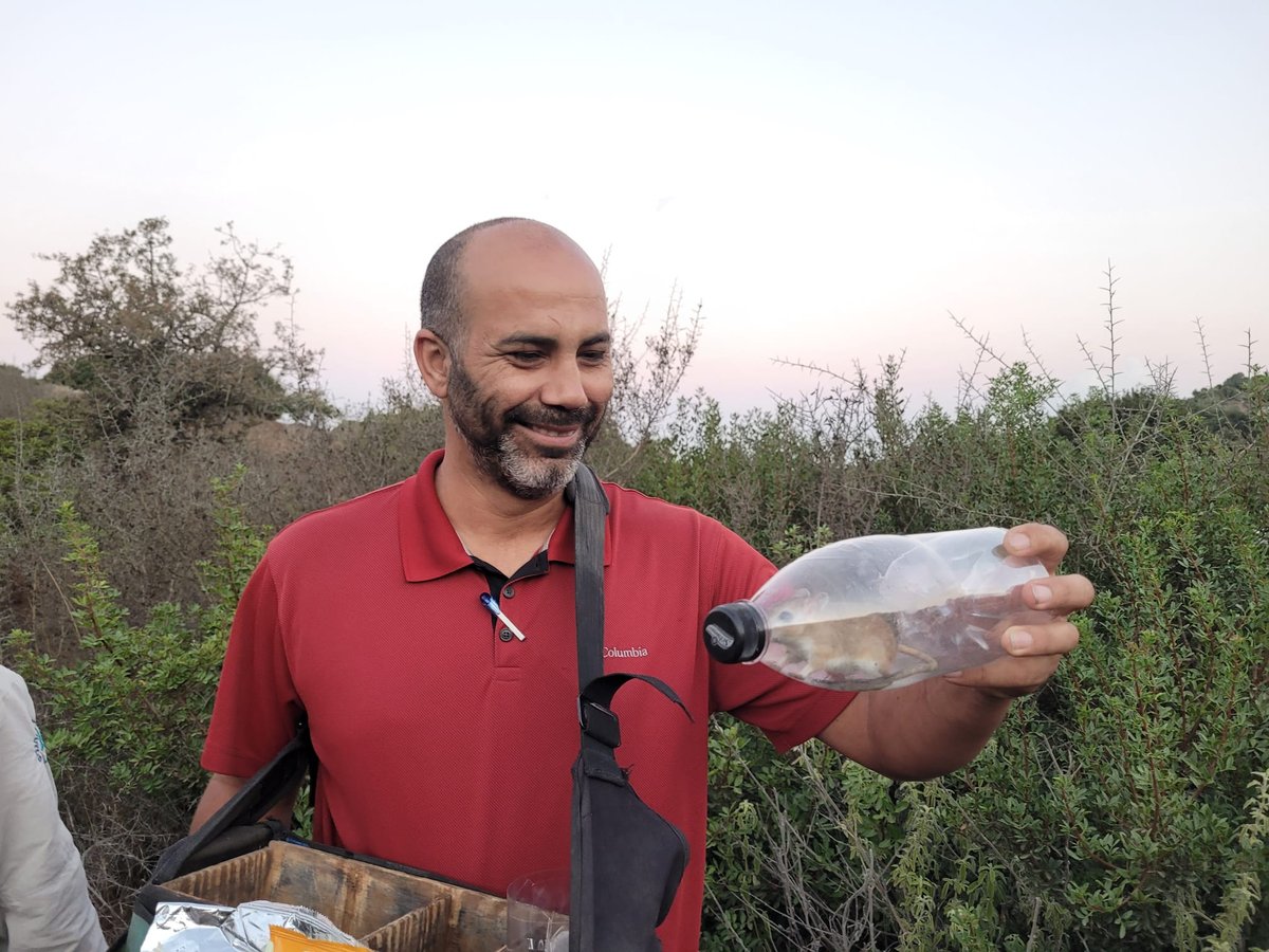 מריון מצוי היה כלוא בתוך בקבוק פלסטיק • צפו