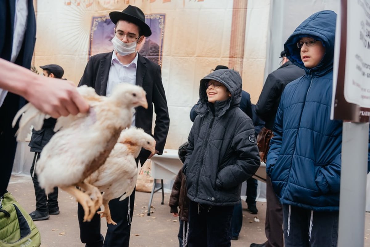 צפו: כך מתכוננים במוסקבה ליום הקדוש