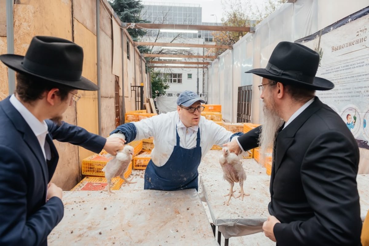 צפו: כך מתכוננים במוסקבה ליום הקדוש