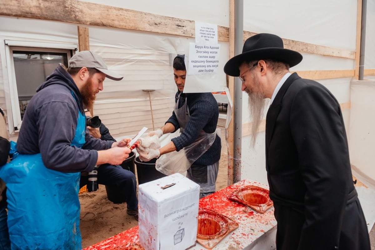 צפו: כך מתכוננים במוסקבה ליום הקדוש