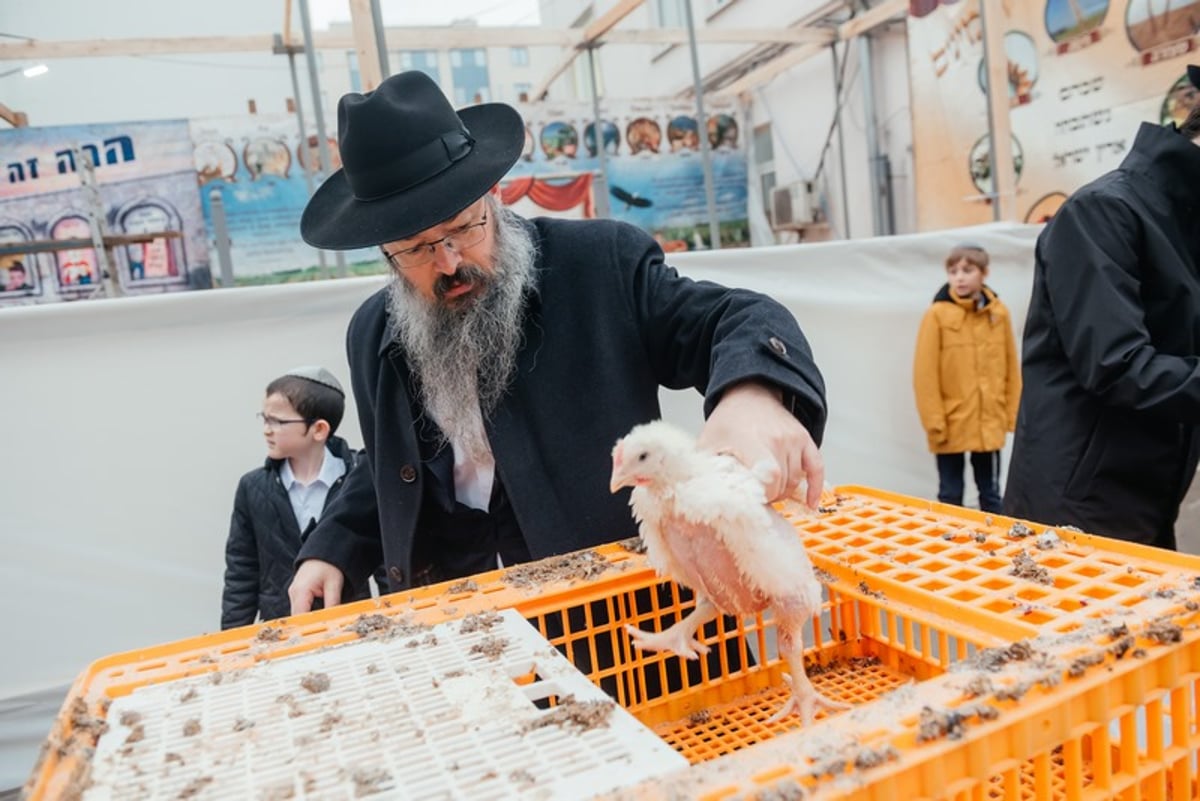 צפו: כך מתכוננים במוסקבה ליום הקדוש