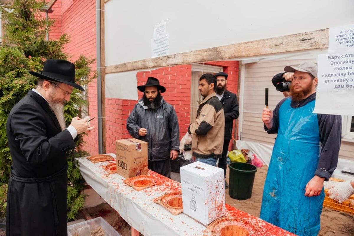 צפו: כך מתכוננים במוסקבה ליום הקדוש