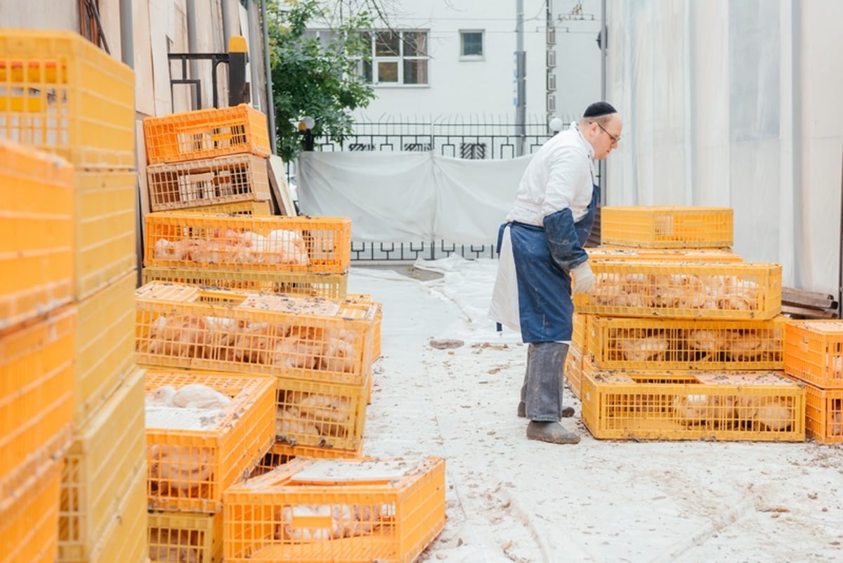 צפו: כך מתכוננים במוסקבה ליום הקדוש