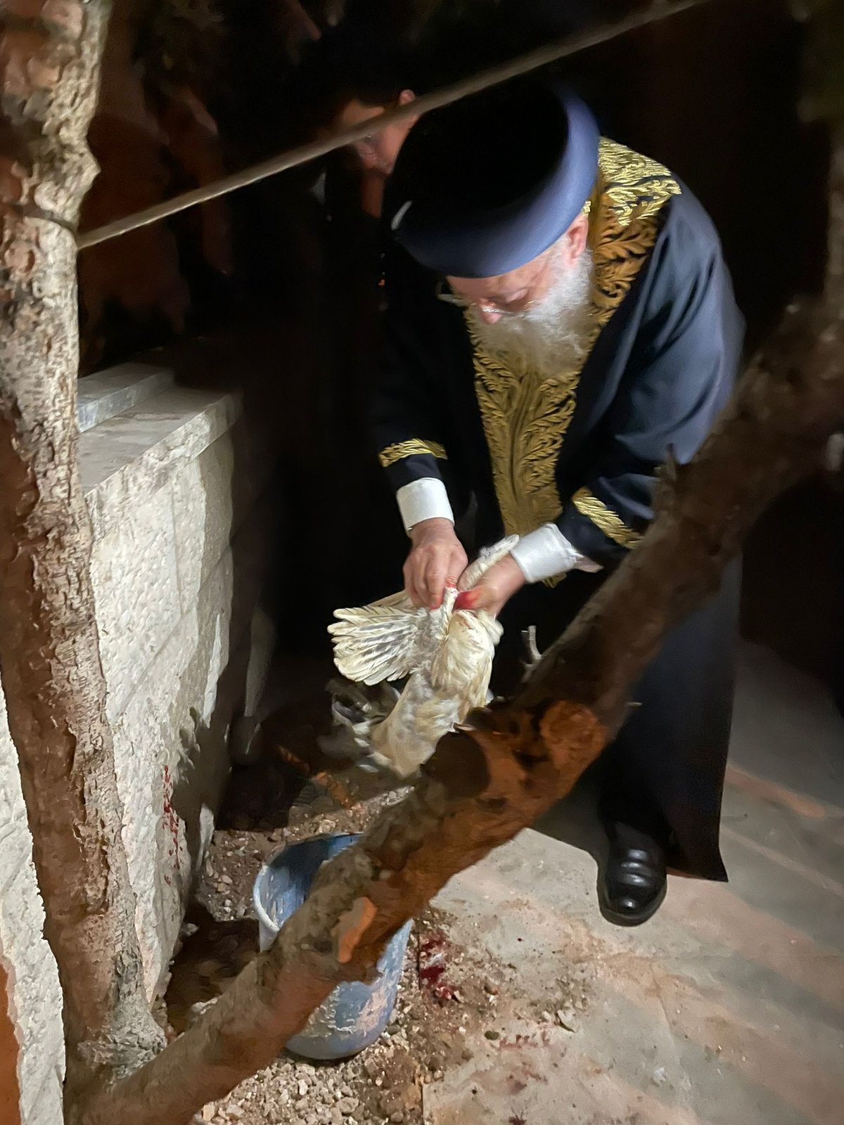 הראשל"צ הגר"ש עמאר במנהג הכפרות וכיסוי הדם. צפו