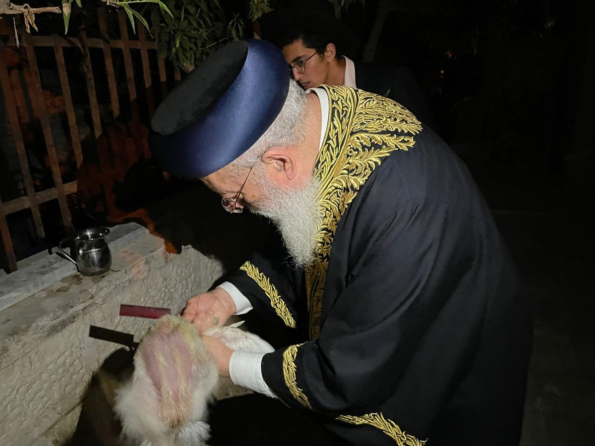 הראשל"צ הגר"ש עמאר במנהג הכפרות וכיסוי הדם. צפו