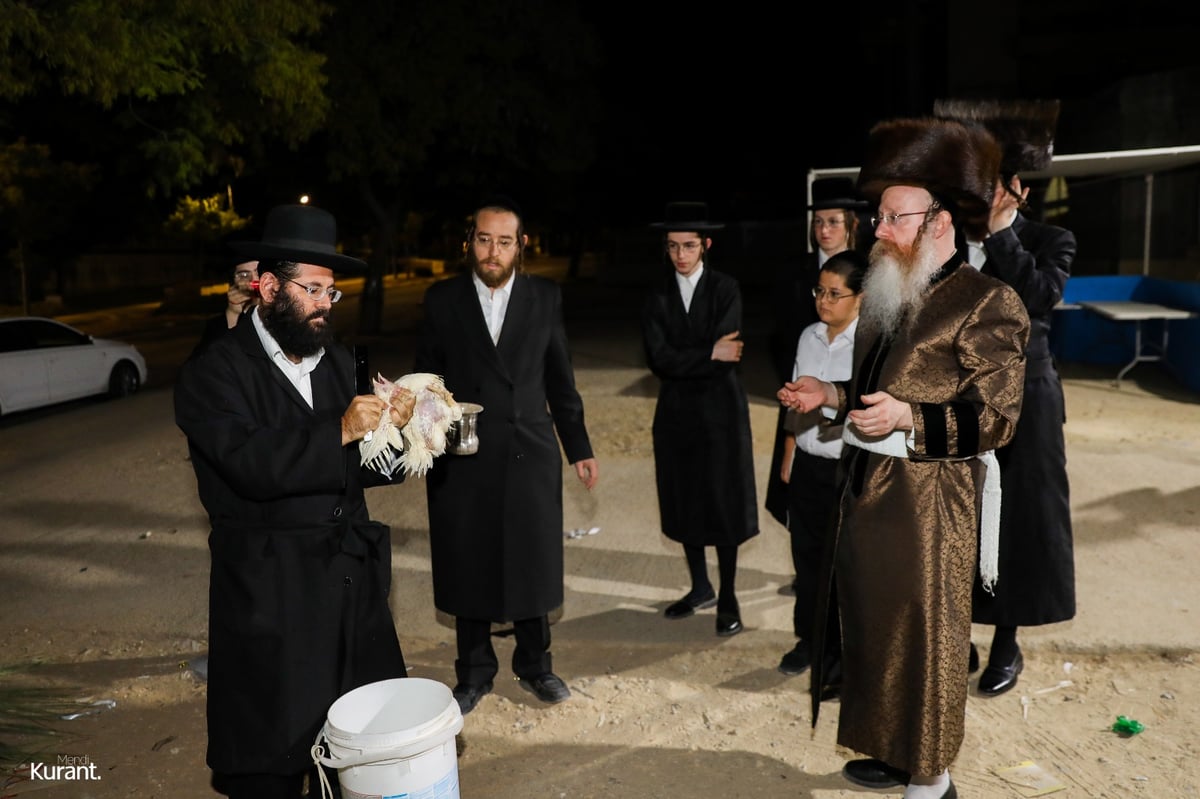 האדמו"ר מקרעטשניף קרית גת במנהג הכפרות