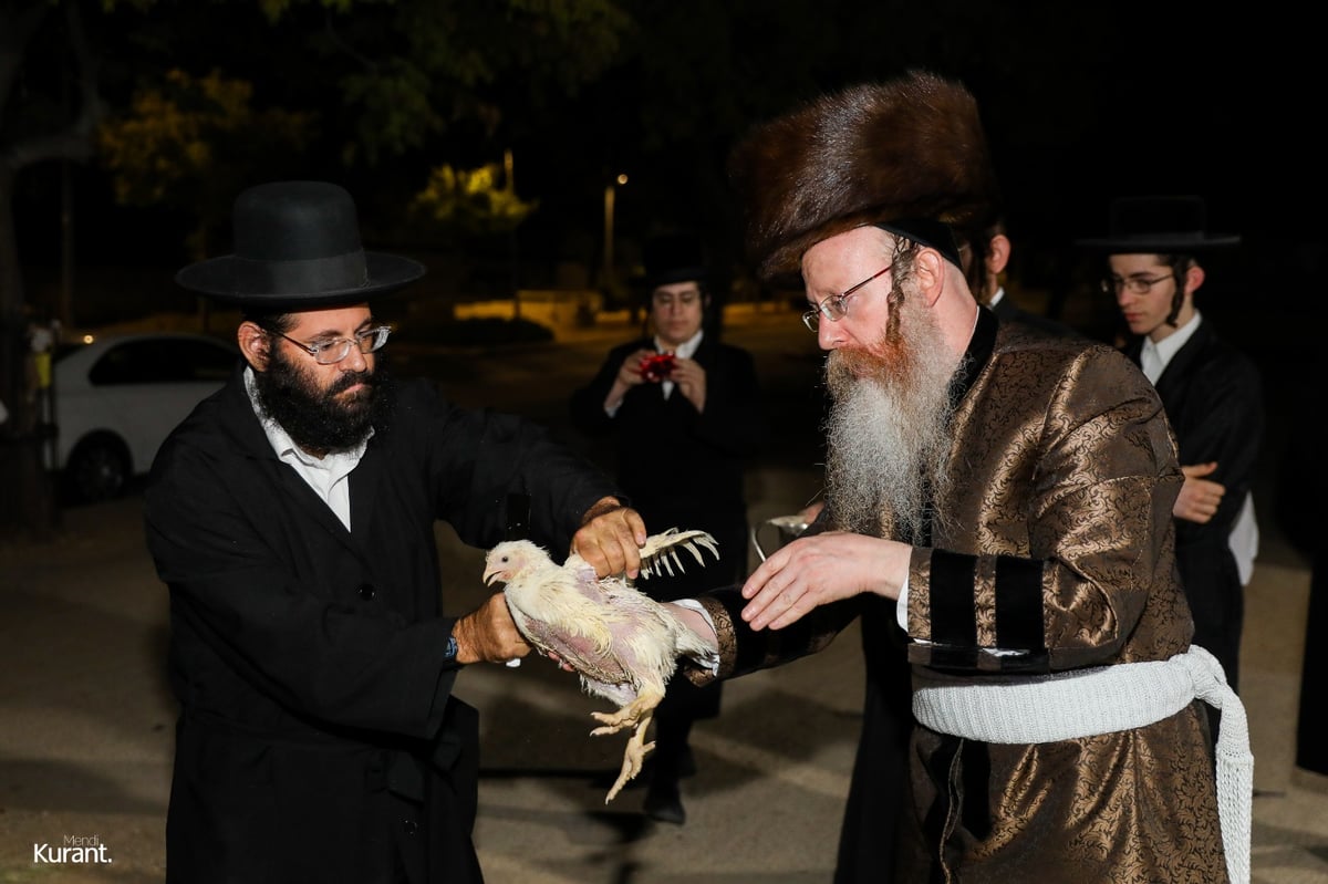 האדמו"ר מקרעטשניף קרית גת במנהג הכפרות