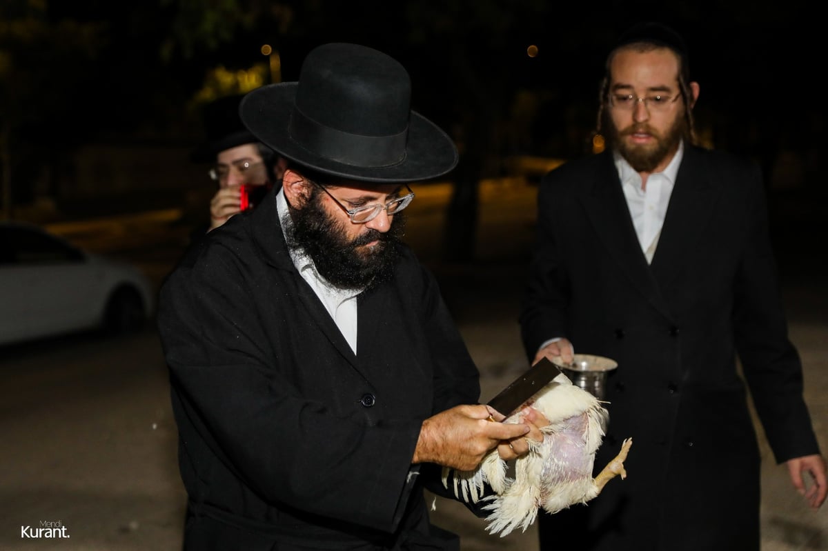 האדמו"ר מקרעטשניף קרית גת במנהג הכפרות