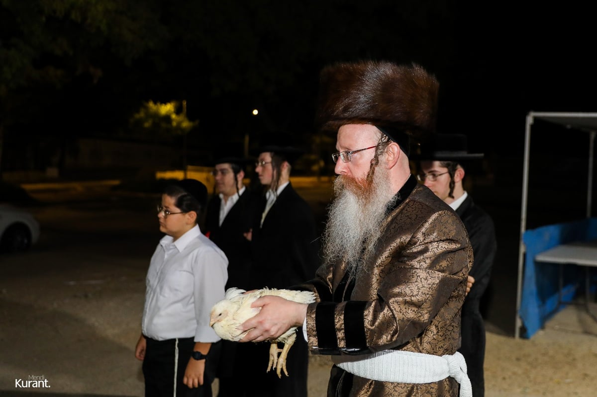 האדמו"ר מקרעטשניף קרית גת במנהג הכפרות