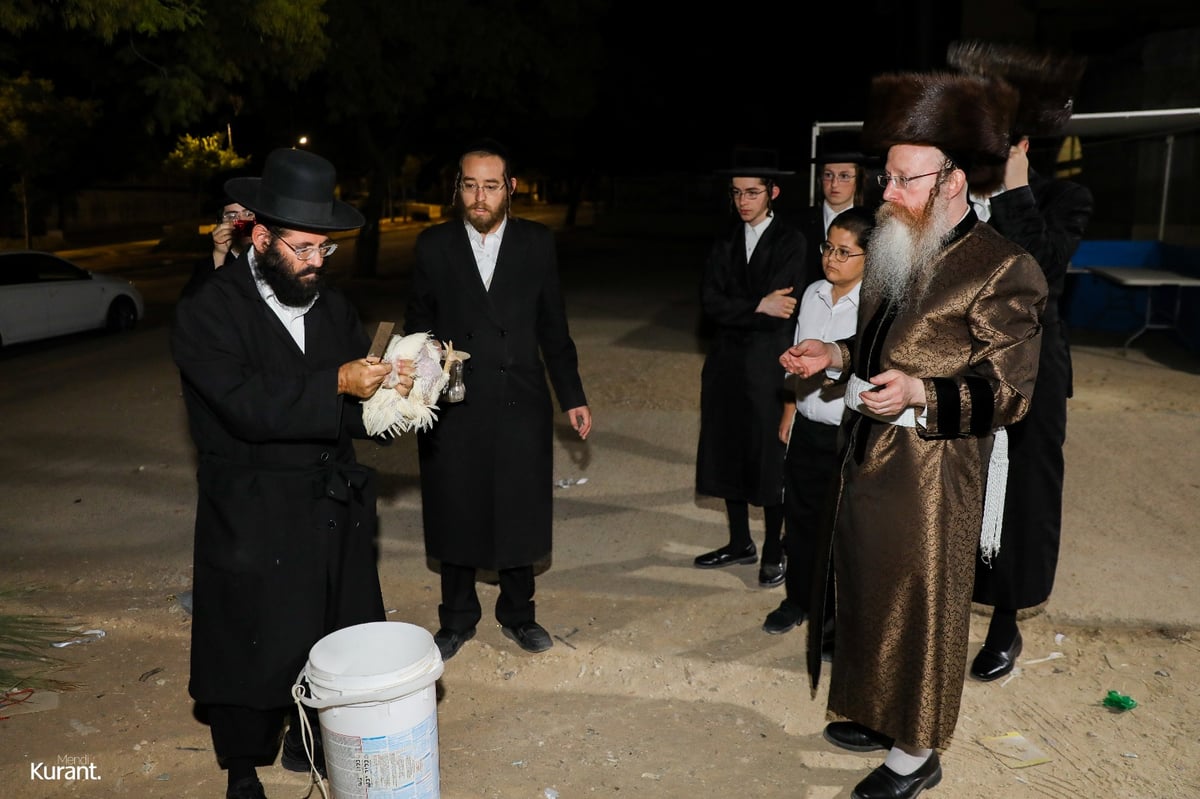 האדמו"ר מקרעטשניף קרית גת במנהג הכפרות