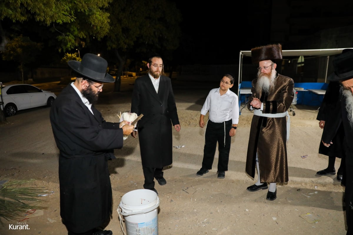 האדמו"ר מקרעטשניף קרית גת במנהג הכפרות