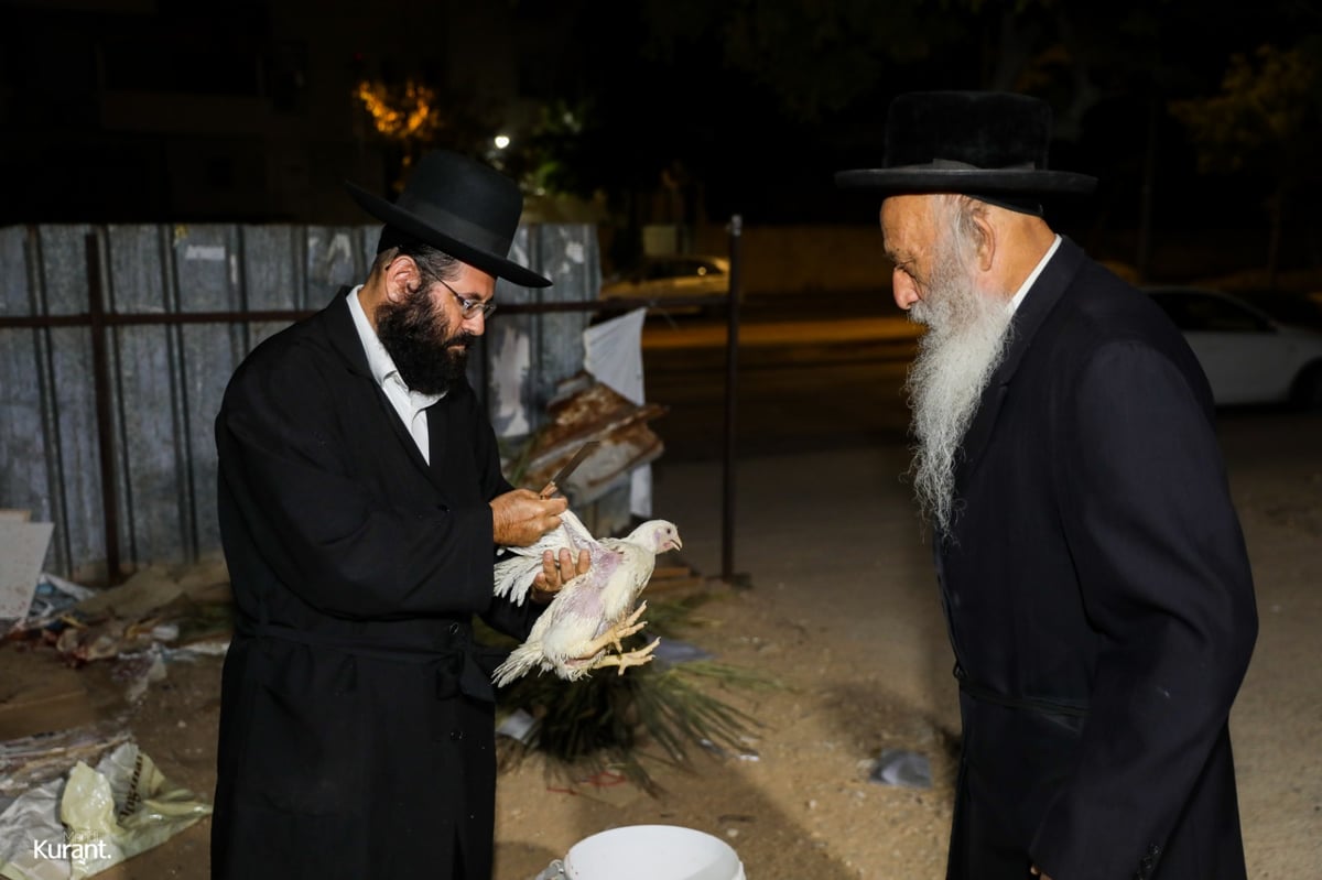 האדמו"ר מקרעטשניף קרית גת במנהג הכפרות