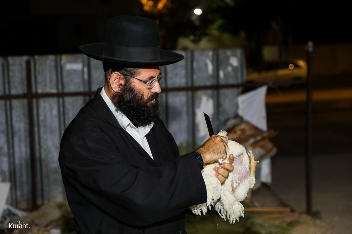 האדמו"ר מקרעטשניף קרית גת במנהג הכפרות