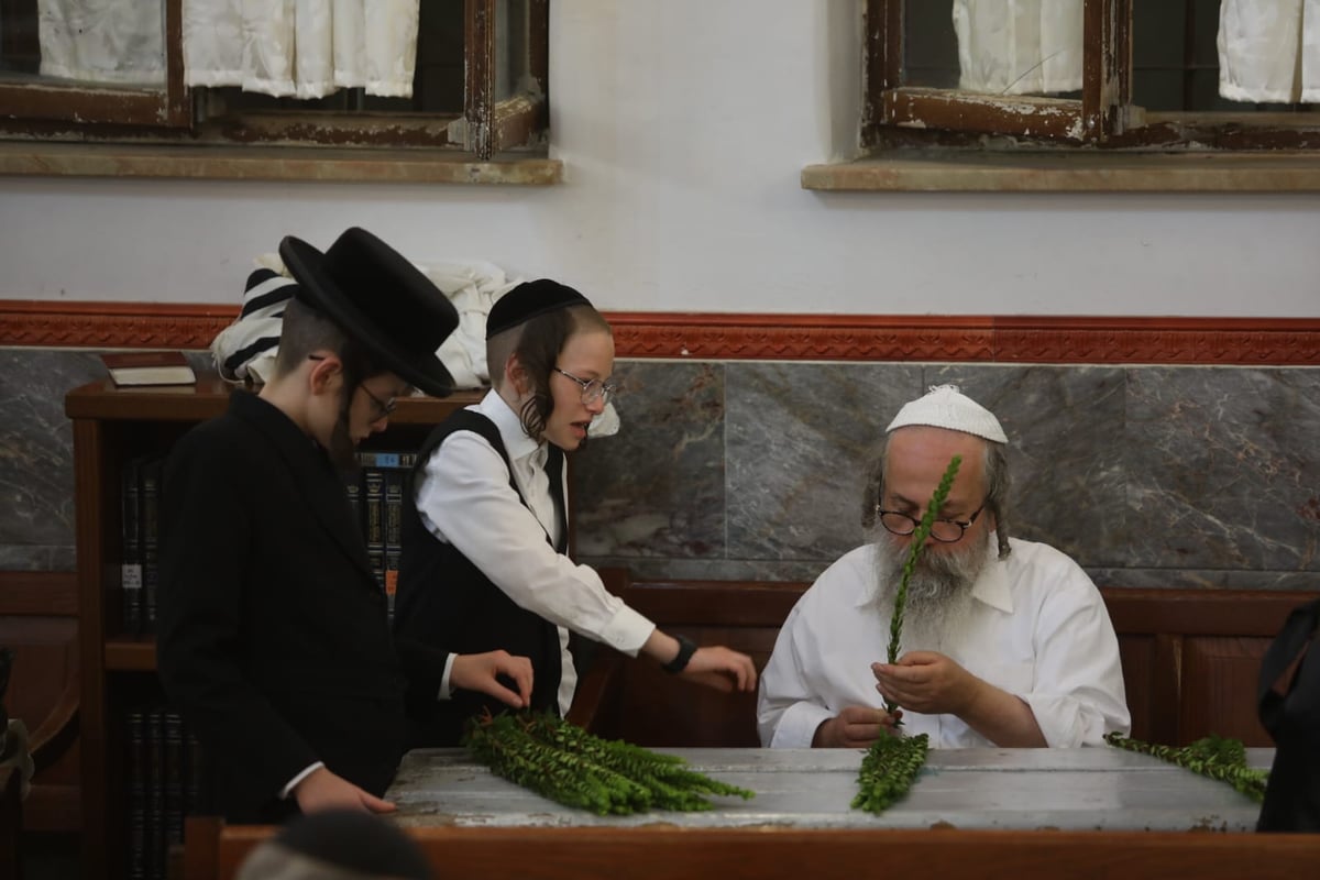 תיעוד מחלון בית הכנסת: שוק ארבעת המינים במאה שערים