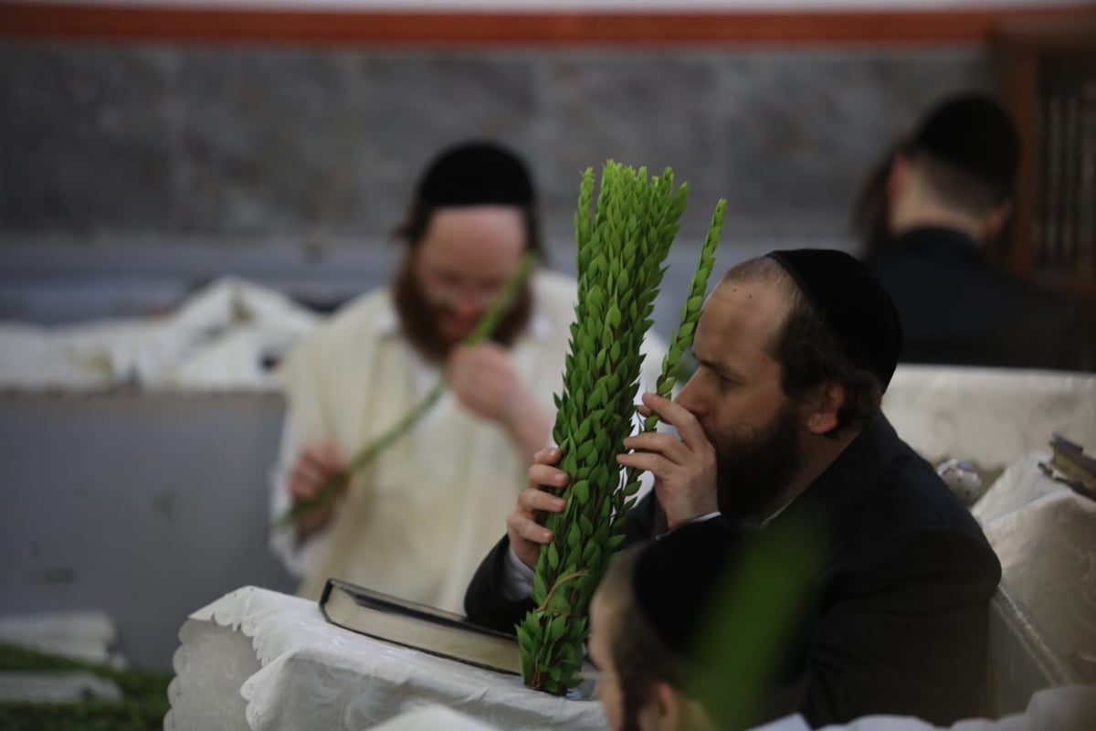 תיעוד מחלון בית הכנסת: שוק ארבעת המינים במאה שערים