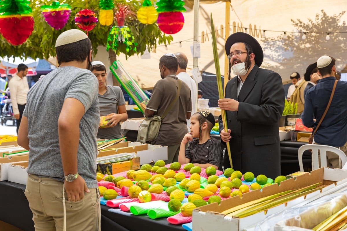 גלריה צבעונית משוק ארבעת המינים • צפו