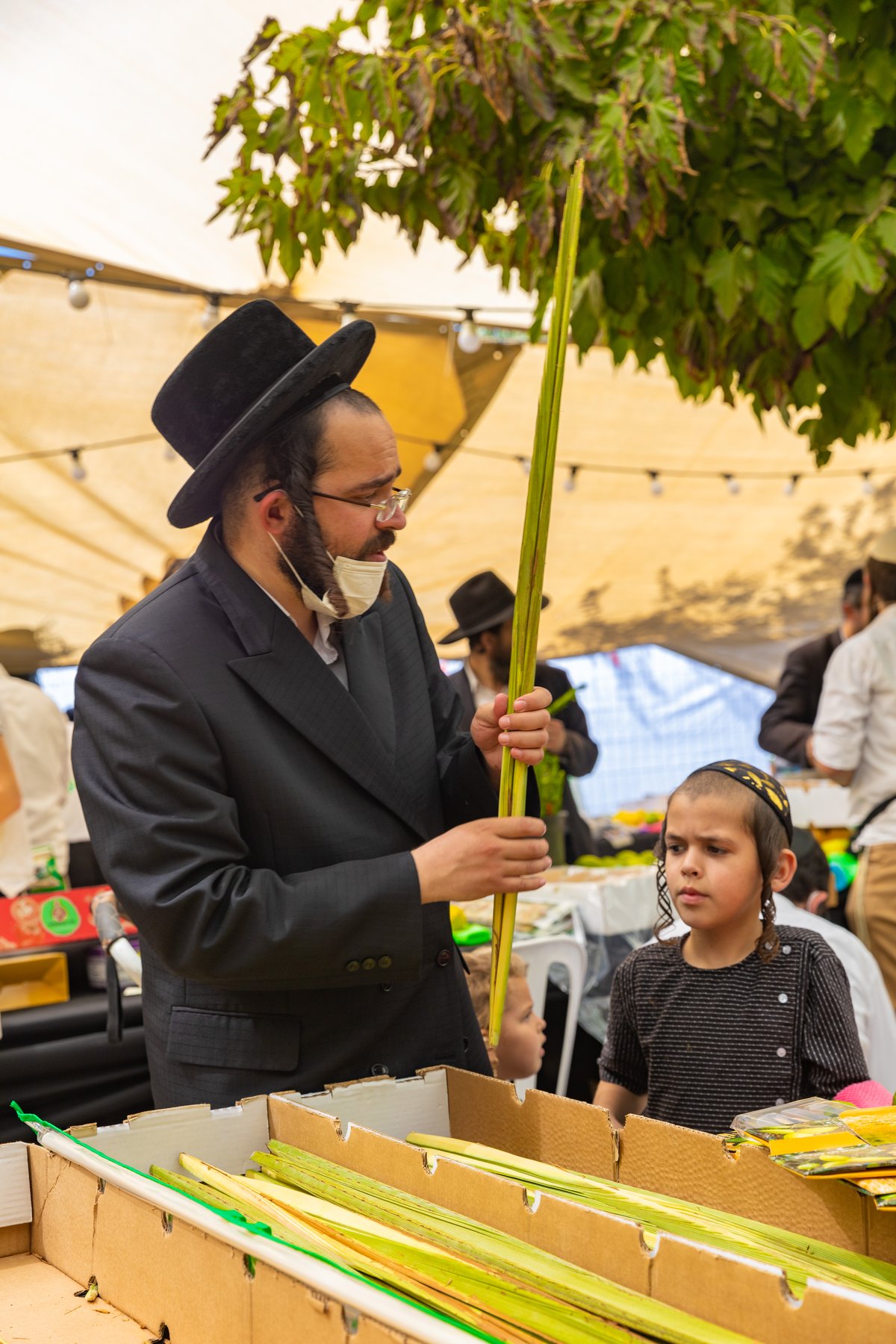 גלריה צבעונית משוק ארבעת המינים • צפו