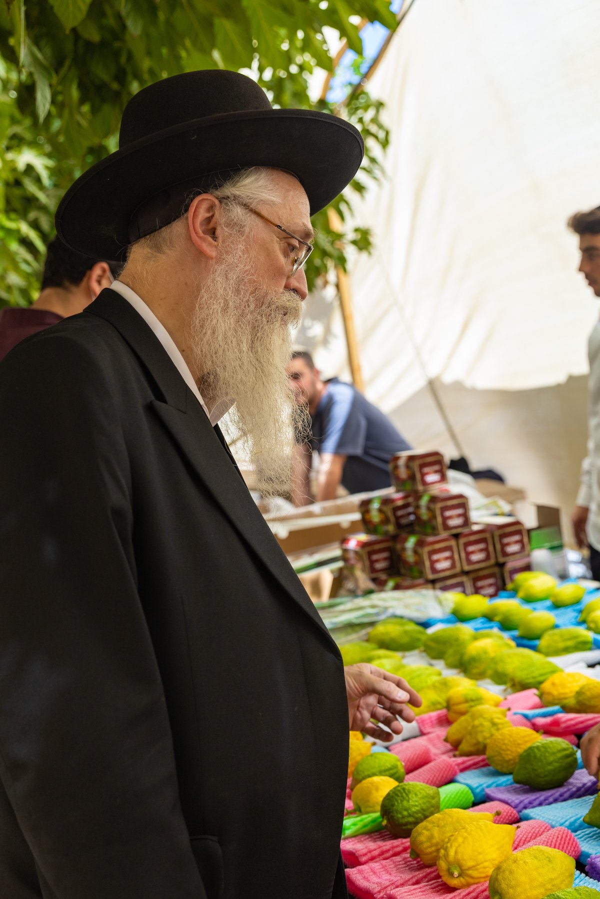 גלריה צבעונית משוק ארבעת המינים • צפו