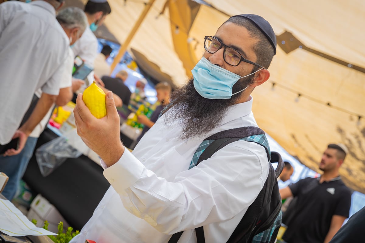 גלריה צבעונית משוק ארבעת המינים • צפו