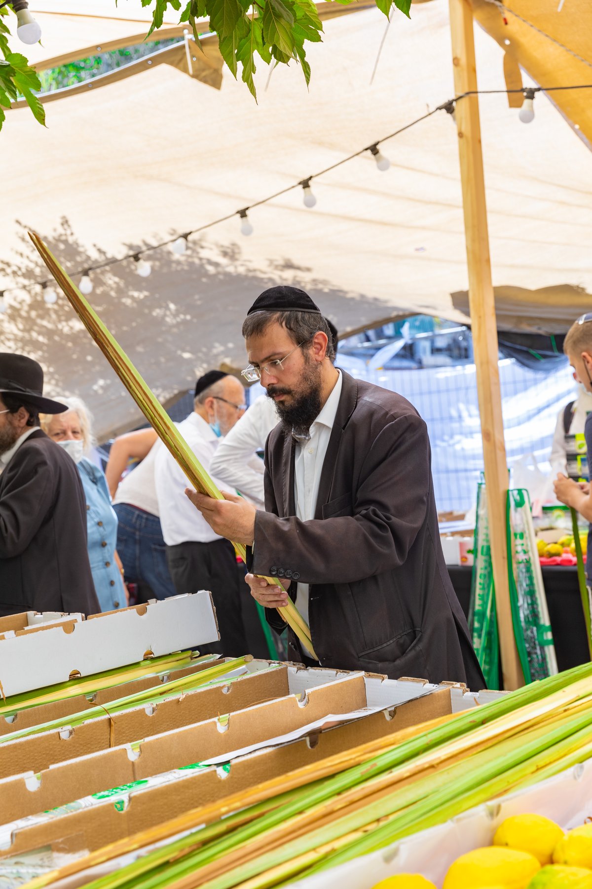 גלריה צבעונית משוק ארבעת המינים • צפו