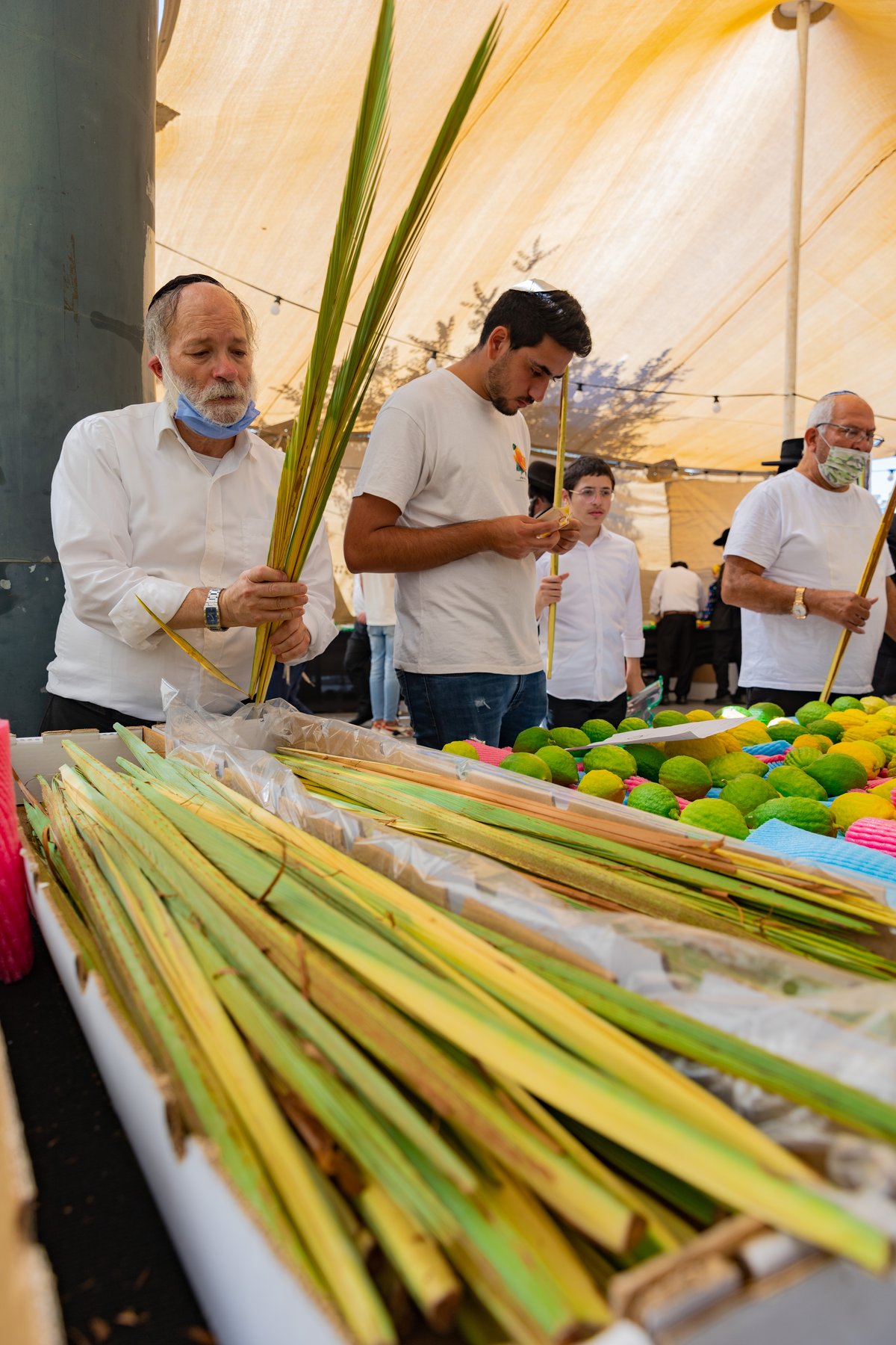 גלריה צבעונית משוק ארבעת המינים • צפו