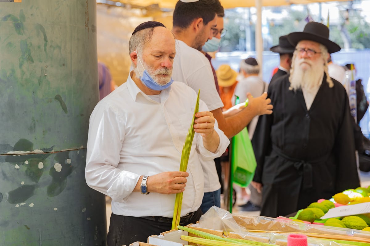 גלריה צבעונית משוק ארבעת המינים • צפו