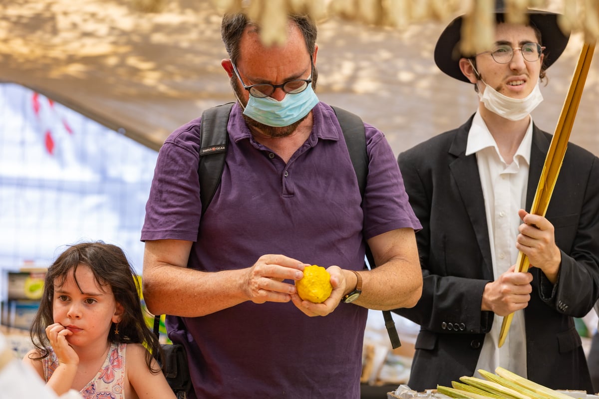 גלריה צבעונית משוק ארבעת המינים • צפו