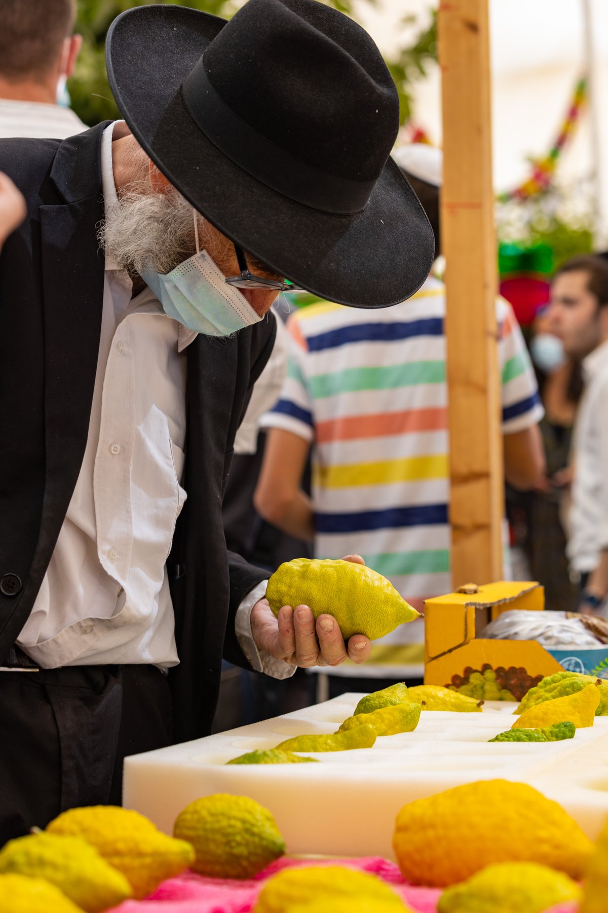 גלריה צבעונית משוק ארבעת המינים • צפו