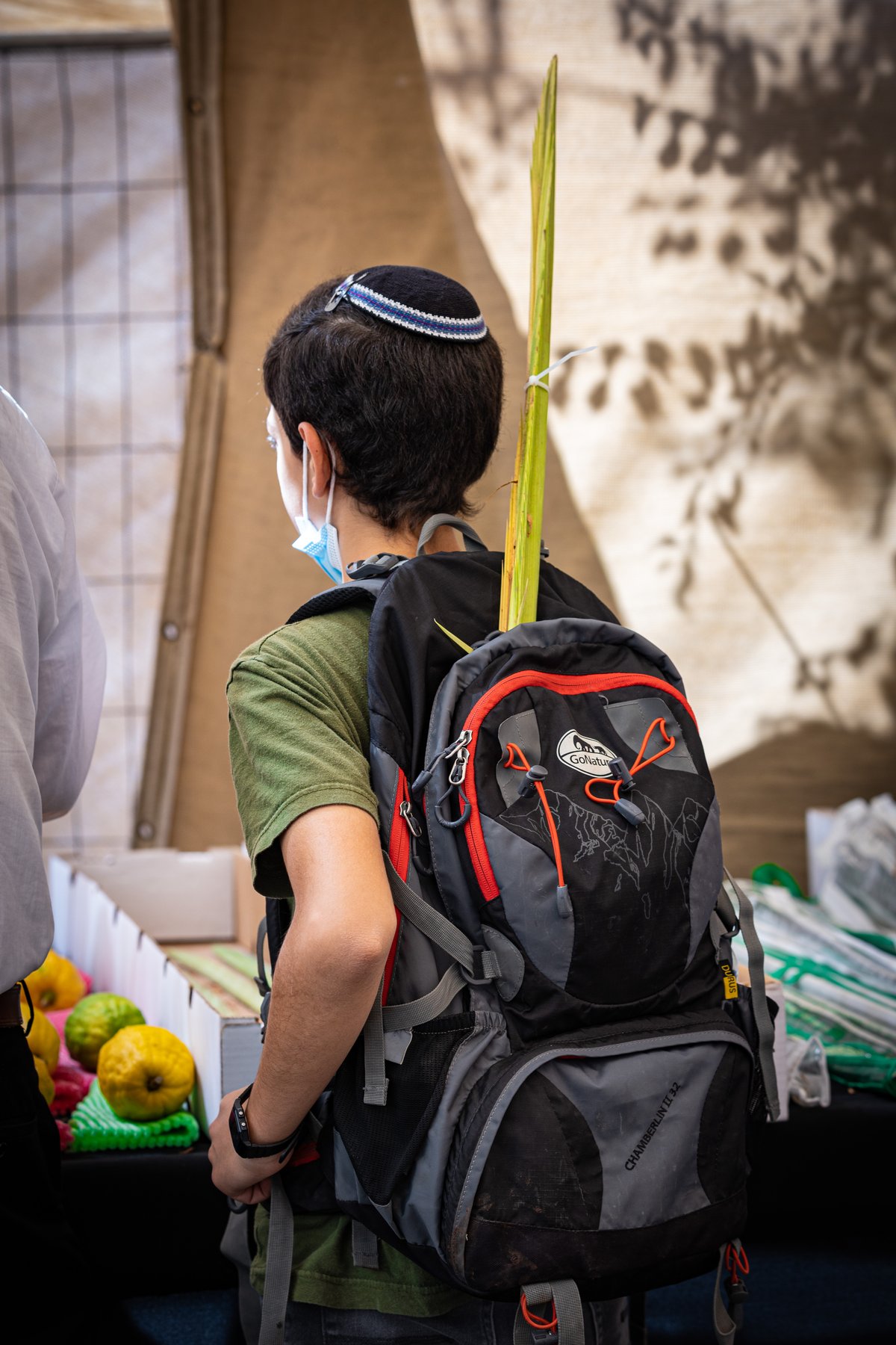 גלריה צבעונית משוק ארבעת המינים • צפו