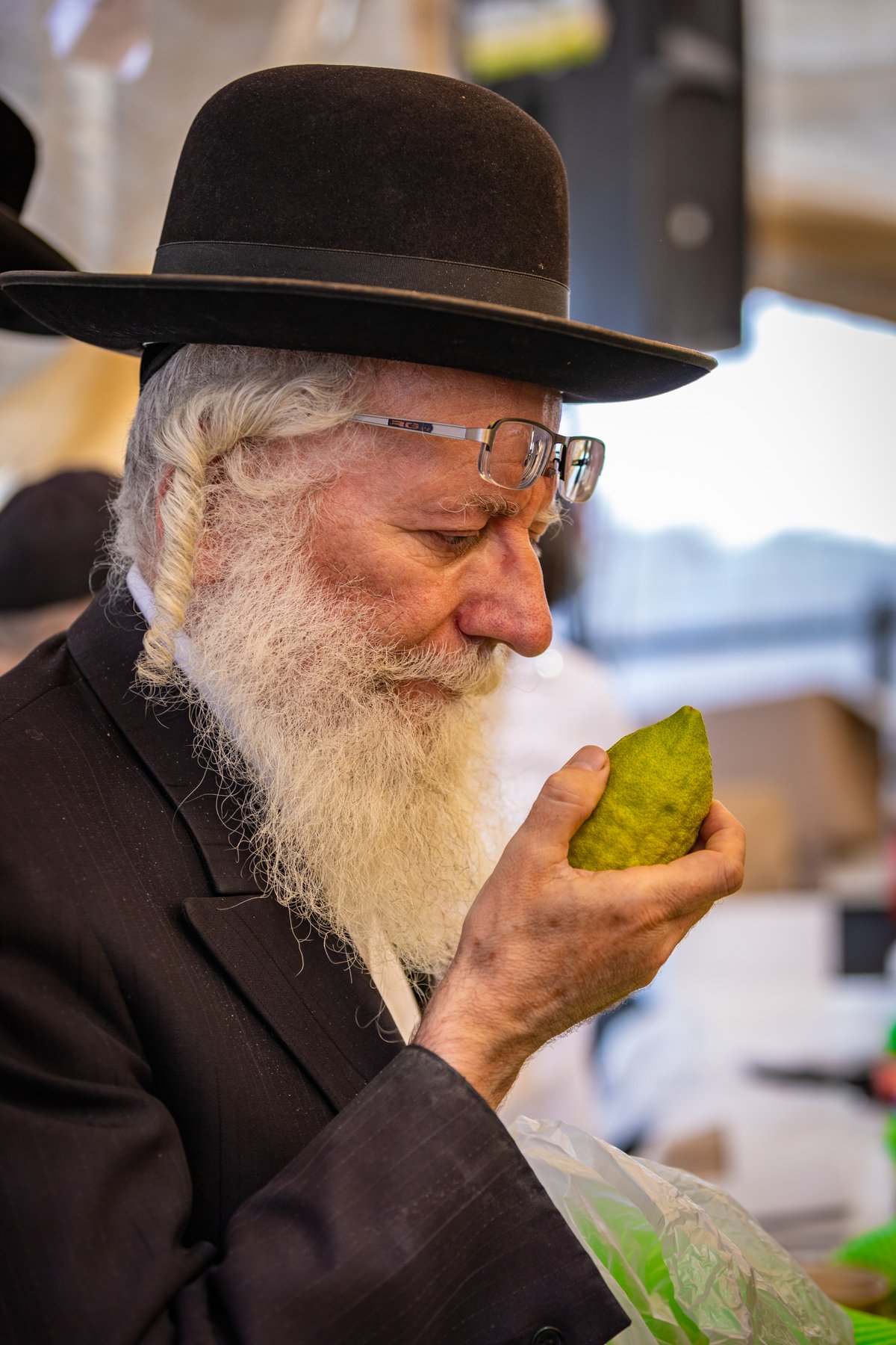 גלריה צבעונית משוק ארבעת המינים • צפו